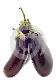 Three aubergine