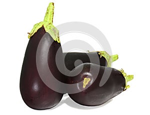 Three aubergine eggplants on white