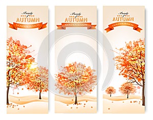 Three autumn abstract banners with colorful leaves and trees