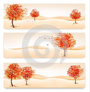 Three autumn abstract banners with colorful leaves and trees.