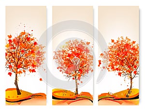 Three autumn abstract banners with colorful leaves