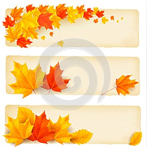 Three autumn banners with colorful leaves