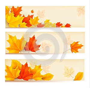 Three autumn banners with colorful leaves