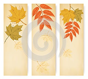 Three autumn banners with colorful leaves