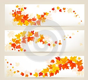 Three autumn banners with colorful leaves
