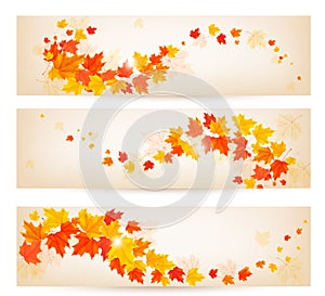 Three autumn banners with colorful leaves