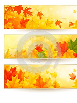 Three autumn banners with colorful leaves in golde