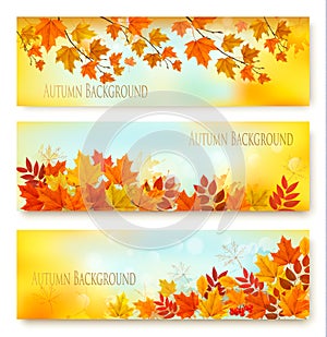 Three Autumn Nature Banners With Colorful Leaves.