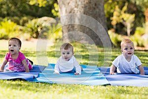 Three babies crawling on exercise-mat