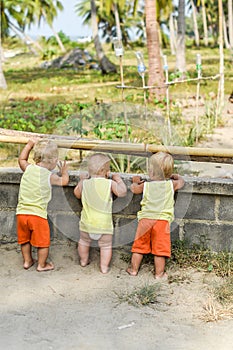 Three baby Toddler looking through fence on the hens and roosters in the henhouse. The yellow shirts.