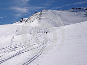 Tres esquiadores esquiar descendencia en fresco polvo en suizo Alpes 