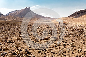 Three backpackers walking stone desert trail.