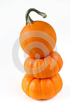 Three balanced mini pumpkins