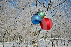 Three Balls on branch of the tree