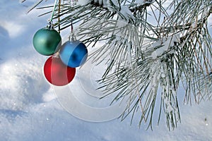 Three balls on pines branch