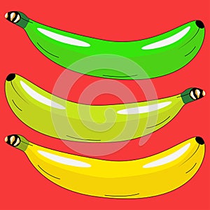 Three bananas in different colors