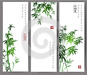 Three banners with green bamboo trees.