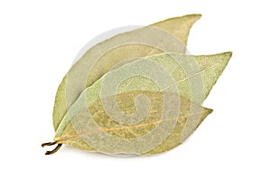 Three bay leaves