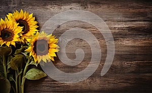 Three beautiful sunflowers on a wooden background with copy space
