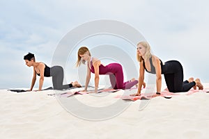 Three beautiful young women perform cat pose