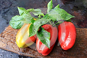 Three bell peppers on wooden background