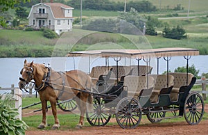 Three bench seat Horse Carriage