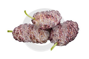 three berries of fresh sweet white mulberry on a white isolated background