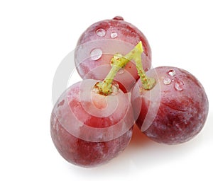Three berries of red grapes close up