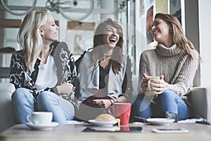 Three best friends. Young women having conversation.