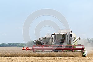 Three big modern harvesters harvest yellow wheat