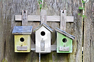 Three birdhouses on old wooden fence