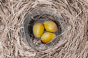 Three birds eggs in nest