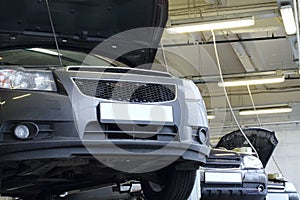 Three black cars on lifts