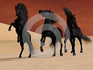 Three Black Horses