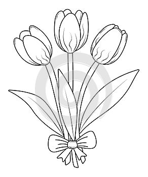 Three black line tulips