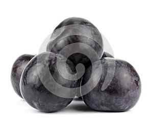Three black plums, isolated on white background photo