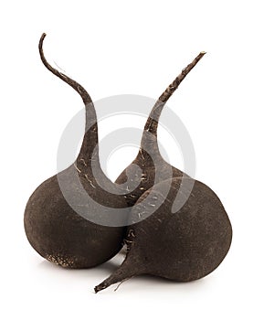 Three black radish isolated on white background