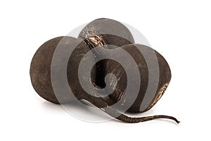 Three black radish isolated on white background