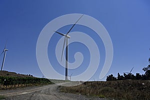 Three-blade wind generator photo