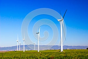 Three Bladed Energy Producing Windmills In Field