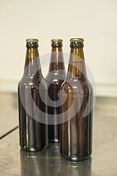 Three blank beer bottles