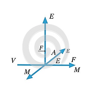 The diagram represents spatial orientation and directionality
