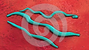 Three blue colored lyme disease pathogens on red underground