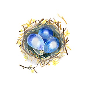Three blue eggs in nest. Easter illustration isolated on white background.