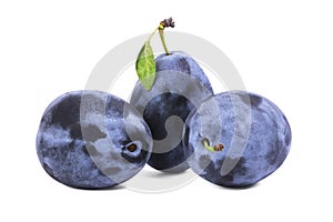 three blue ripe plums