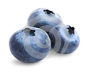 Three blueberries isolated