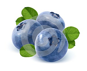 Three blueberry and leaves isolated on white background