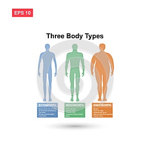 three body type male ectomorph mesomorph endomorph vector isolated with description photo