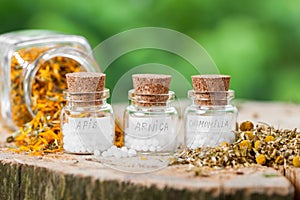 Three bottles of homeopathy globules and healthy herbs.