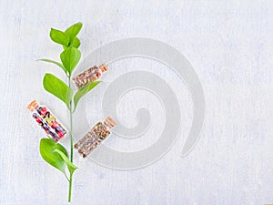 Three bottles of medicinal herbs with a green branch